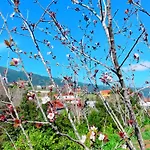 Quinta Vista O Pico Ribeiro Frio
