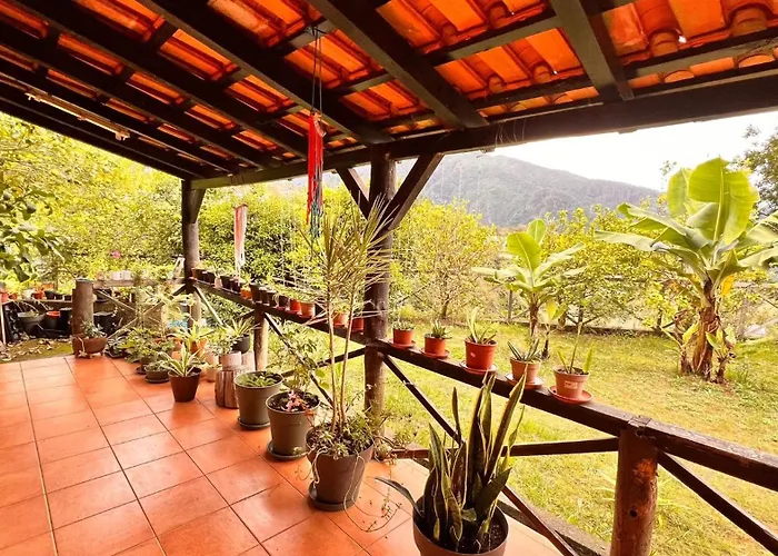 Quinta Vista O Pico Bauernhof Ribeiro Frio