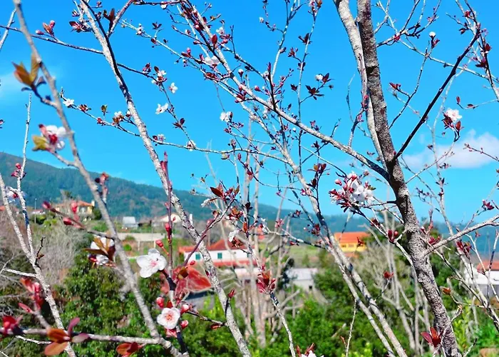 Quinta Vista O Pico Ribeiro Frio