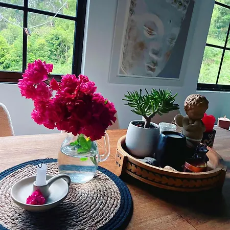 Quinta Vista O Pico Feriegård *