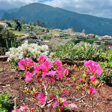 Quinta Vista Para O Pico * Ribeiro Frio