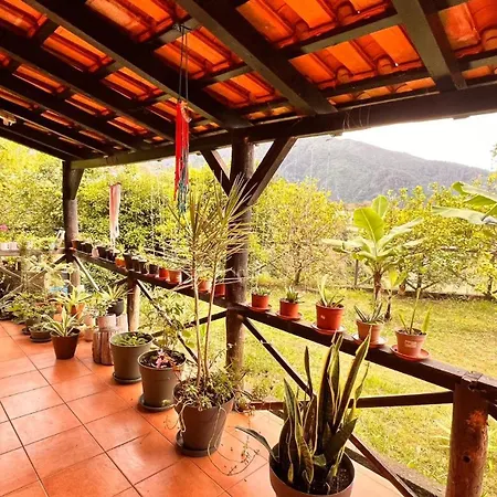 Quinta Vista O Pico Lantgård Ribeiro Frio