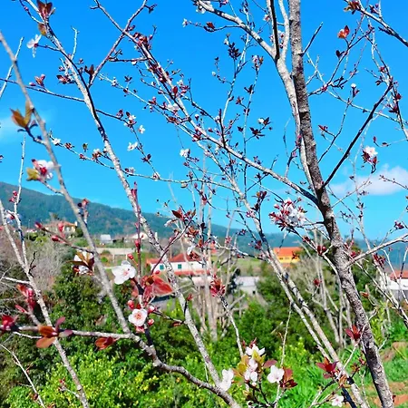 Quinta Vista Para O Pico Ribeiro Frio