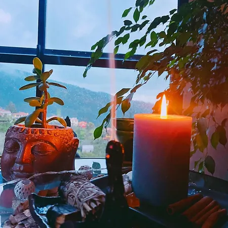 Lantgård Quinta Vista O Pico Ribeiro Frio