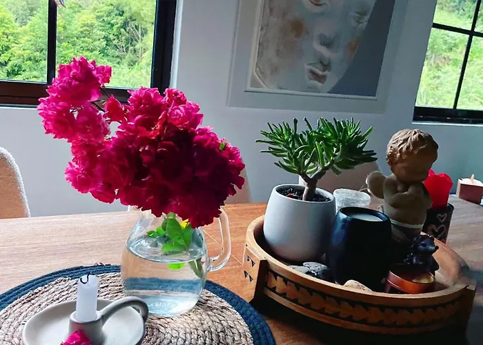 Quinta Vista O Pico Фермерский дом *