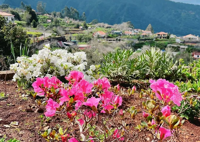 Quinta Vista O Pico * Ribeiro Frio