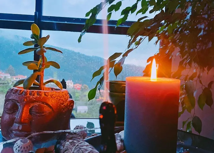 Фермерский дом Quinta Vista O Pico Ribeiro Frio